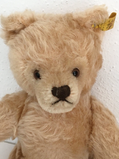 Antiker Bär von Steiff (24cm)