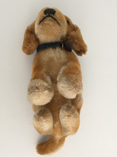 Hund (Dackel), Steiff, 10cm