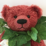 Clemens-Bär „Burgunder“, Design : Claudia Weinstein