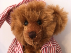 Original Clemens Bear with Hot Water Bottle